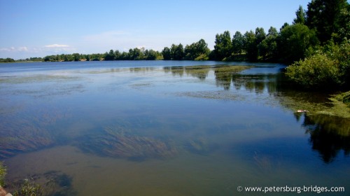 Shingarsky pond