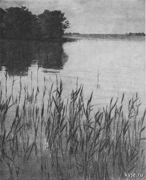 The Shore of Lake Oneiga on Kyje Island Museum