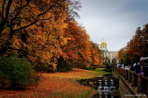 Channel of Small Cascades and  Catherine Palace