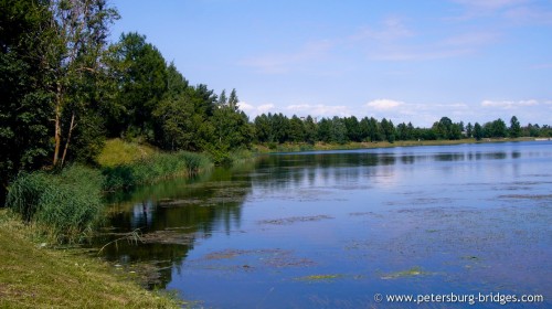 Shingarsky pond