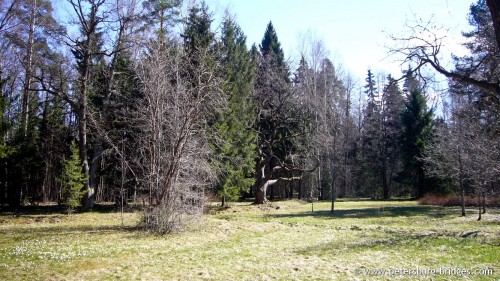 Sergievka park
