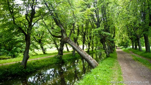 Lugovoy park