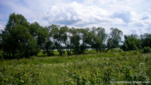 Lugovoy park