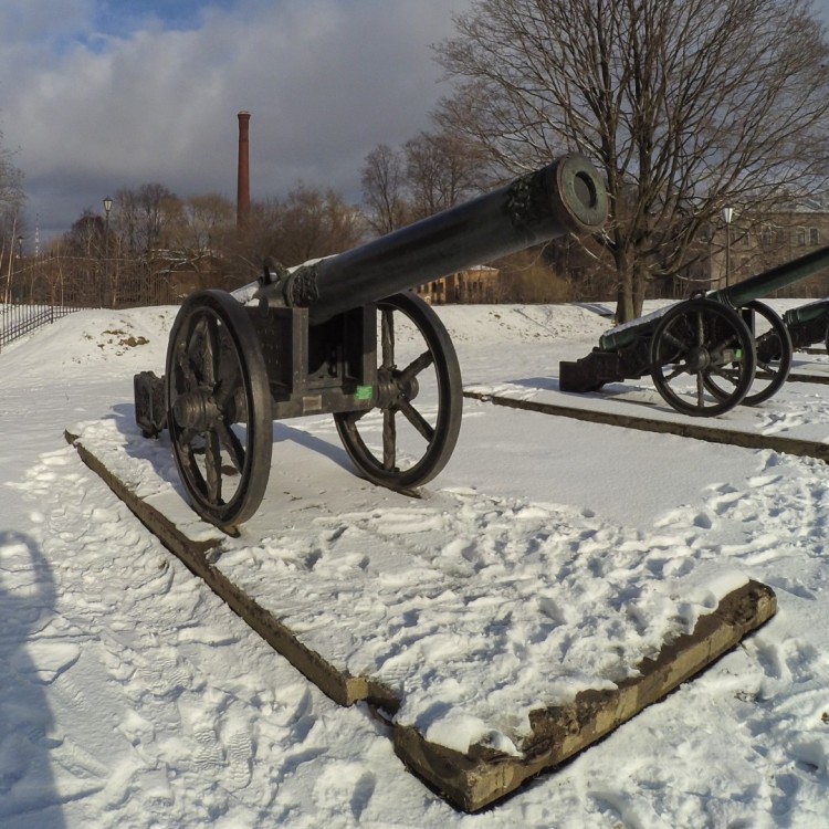 The Swedish Cannon